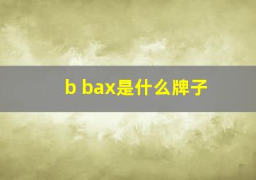 b bax是什么牌子